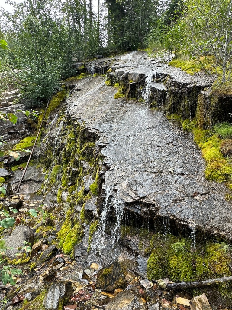 Small waterfall in Flathead National Forest in Montana. Picture by Happy Vegan Campers.