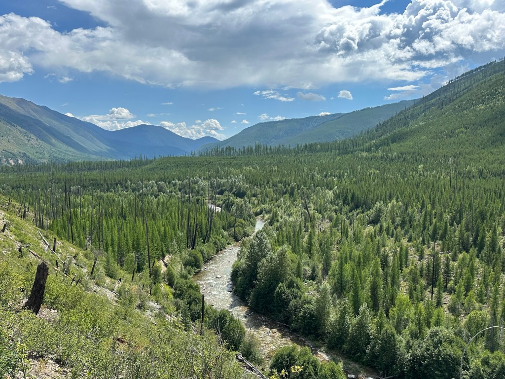 River and view in Flathead National Forest in Montana. Picture by Happy Vegan Campers.