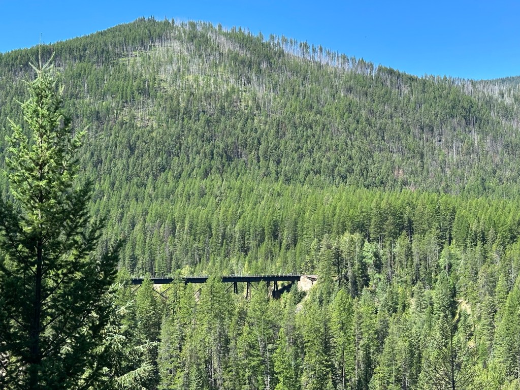 Railroad trestle seen from Goat Lick Overlook in Essex, Montana, USA. Picture by Happy Vegan Campers.