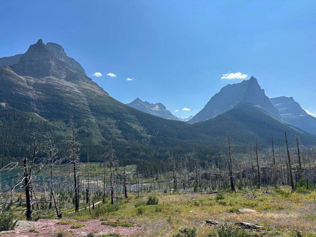 View of mountains from Going-To-The-Sun Road in Glacier National Park in Montana, USA. Picture by Happy Vegan Campers.