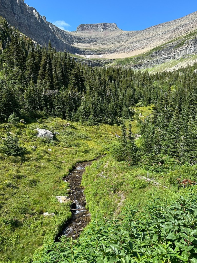View of stream from Going-To-The-Sun Road in Glacier National Park in Montana, USA. Picture by Happy Vegan Campers.