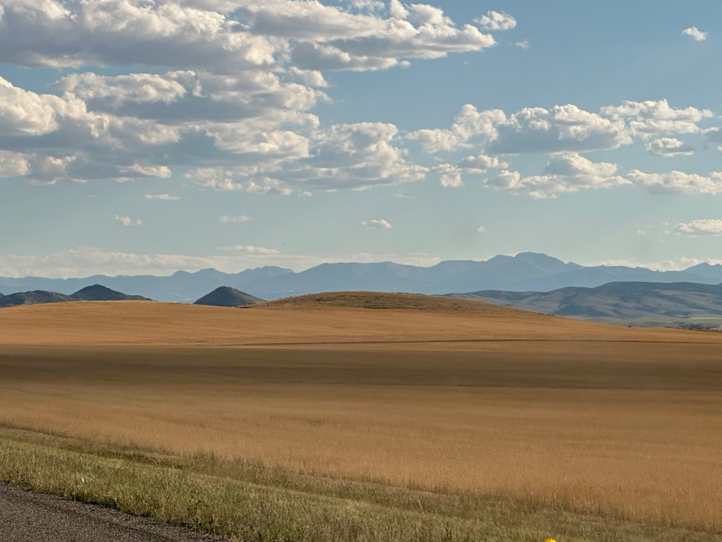 Sun lit wheat field and mountains in Montana, USA. Picture by Happy Vegan Campers.