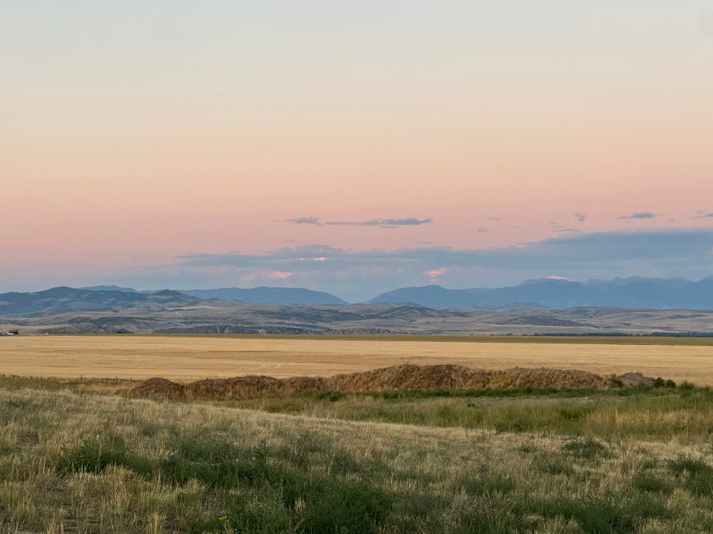 Sunset over wheat fields and mountains in Montana, USA. Picture by Happy Vegan Campers.