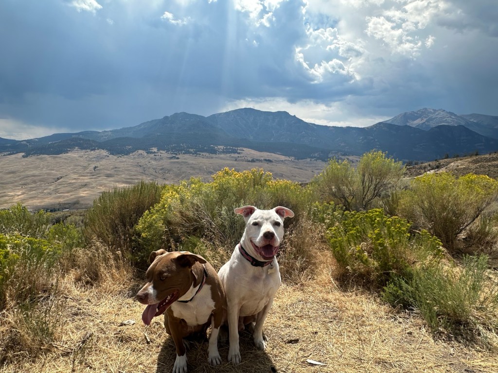 Peter and Marcel and view of Gardiner, Montana, USA and northern entrance of Yellowstone National Park. Picture by Happy Vegan Campers.