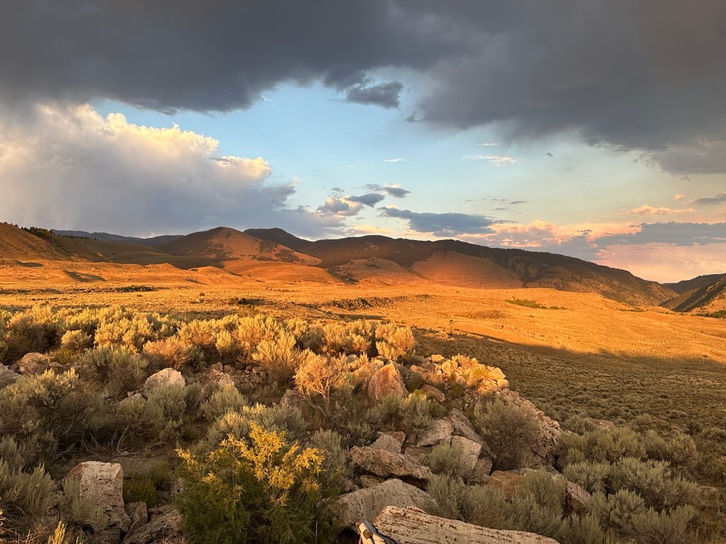 Sunset over Custer Gallatin National Forest near Gardiner, Montana, USA. Picture by Happy Vegan Campers.