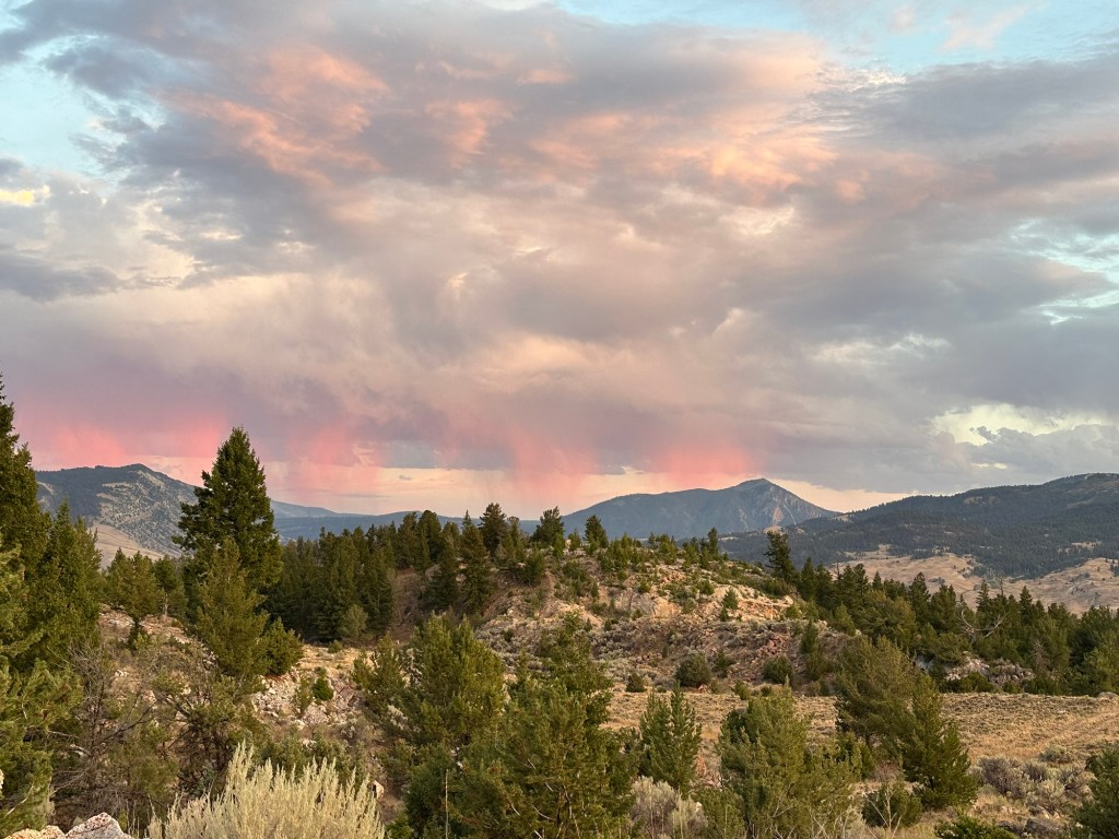 Pink clouds over Custer Gallatin National Forest near Gardiner, Montana, USA. Picture by Happy Vegan Campers.