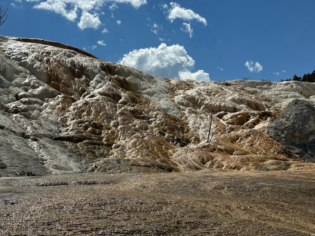 Mammoth Hot Springs In Yellowstone National Park in Montana, USA. Picture by Happy Vegan Campers.