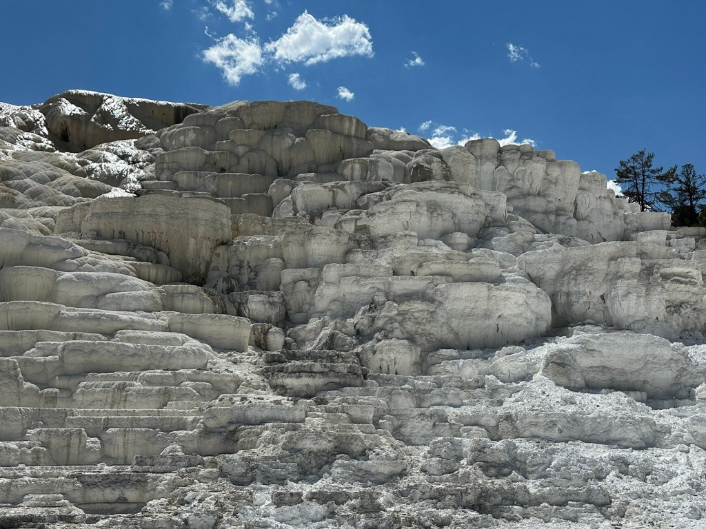 Mammoth Hot Springs In Yellowstone National Park in Montana, USA. Picture by Happy Vegan Campers.