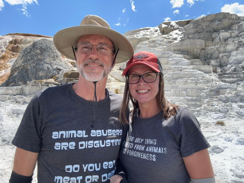 Daniel and Kristin at Mammoth Hot Springs In Yellowstone National Park in Montana, USA. Picture by Happy Vegan Campers.