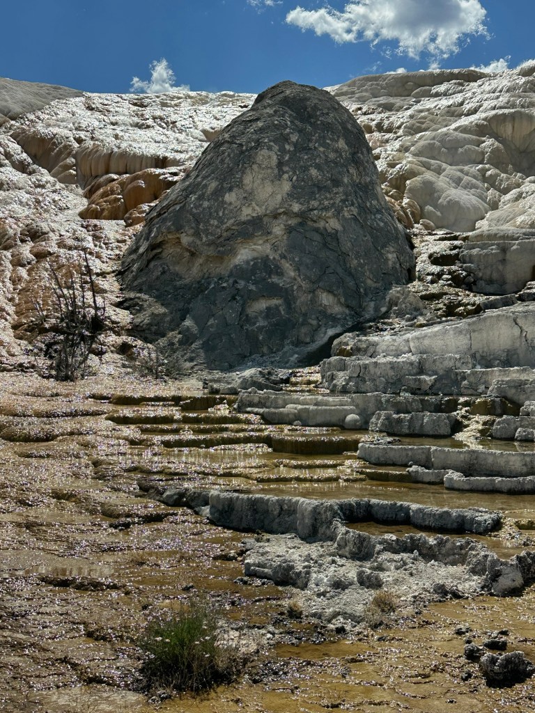 Mammoth Hot Springs In Yellowstone National Park in Montana, USA. Picture by Happy Vegan Campers.