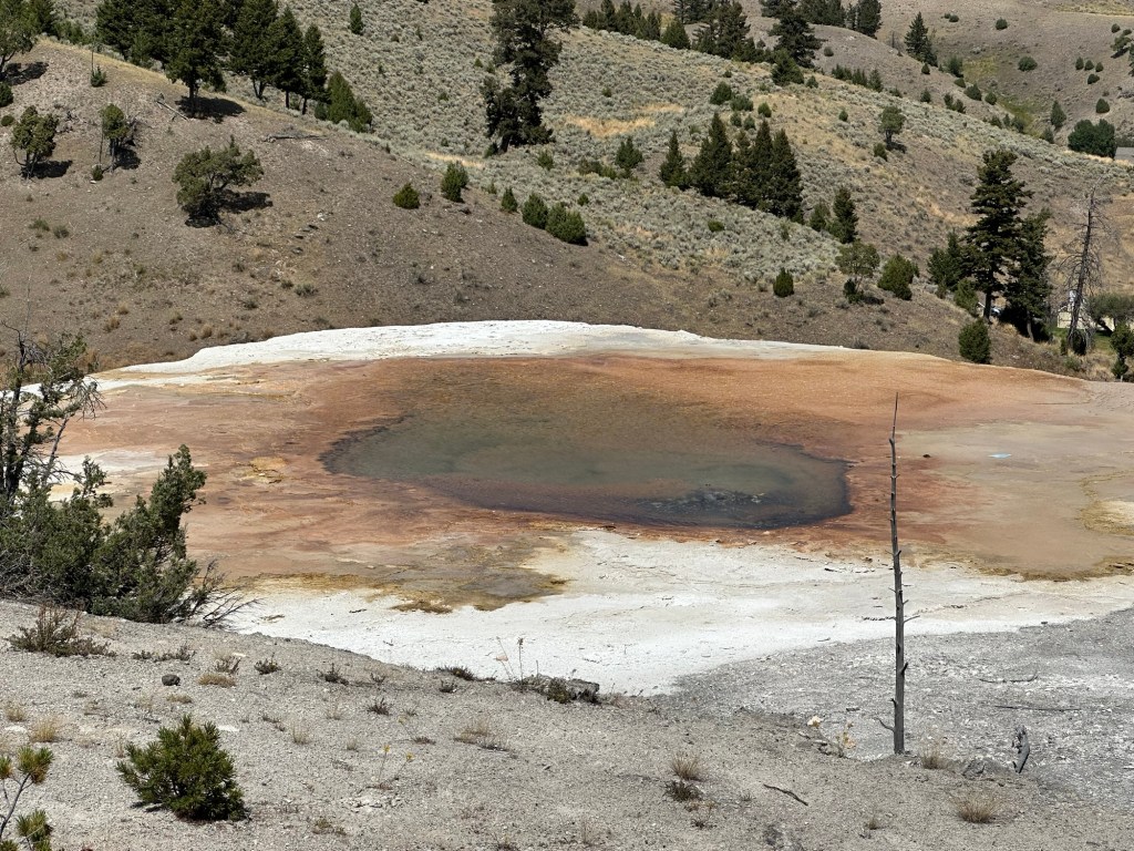 Mammoth Hot Springs In Yellowstone National Park in Montana, USA. Picture by Happy Vegan Campers.