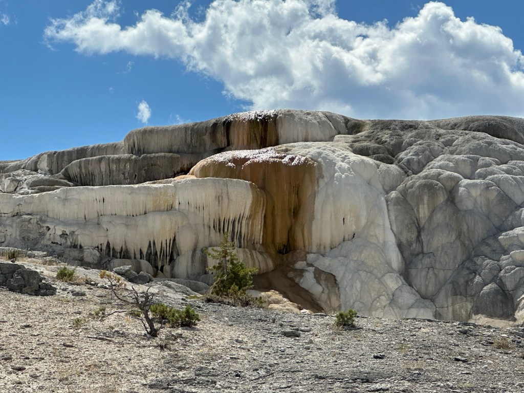 Mammoth Hot Springs In Yellowstone National Park in Montana, USA. Picture by Happy Vegan Campers.