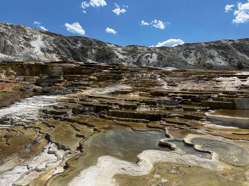 Mammoth Hot Springs In Yellowstone National Park in Montana, USA. Picture by Happy Vegan Campers.