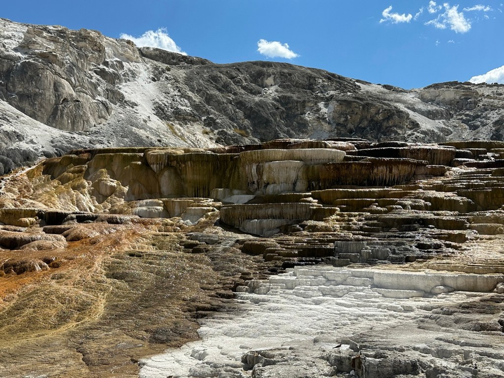 Mammoth Hot Springs In Yellowstone National Park in Montana, USA. Picture by Happy Vegan Campers.