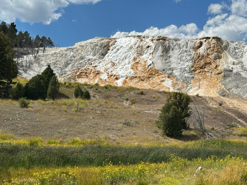 Mammoth Hot Springs In Yellowstone National Park in Montana, USA. Picture by Happy Vegan Campers.