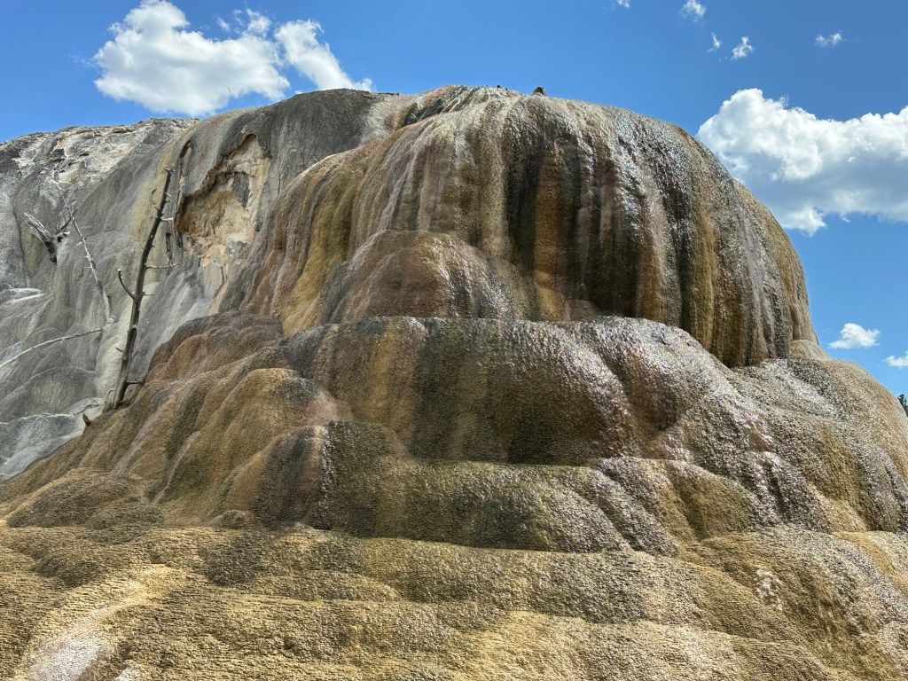 Mammoth Hot Springs In Yellowstone National Park in Montana, USA. Picture by Happy Vegan Campers.