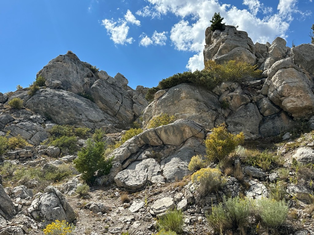 View near Golden Gate waterfall in Yellowstone National Park in Montana, USA. Picture by Happy Vegan Campers.