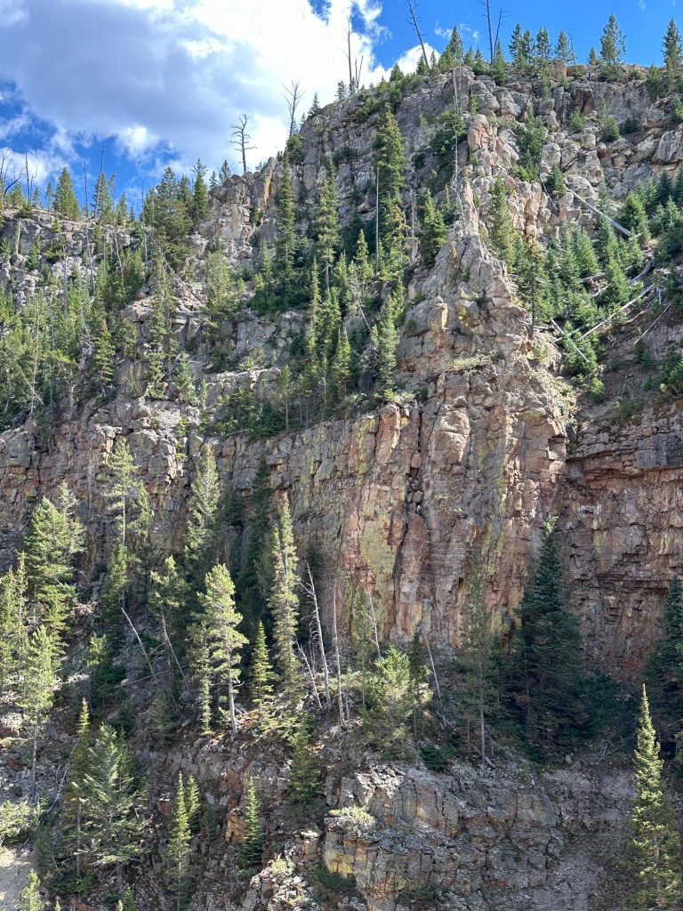 View near Golden Gate waterfall in Yellowstone National Park in Montana, USA. Picture by Happy Vegan Campers.
