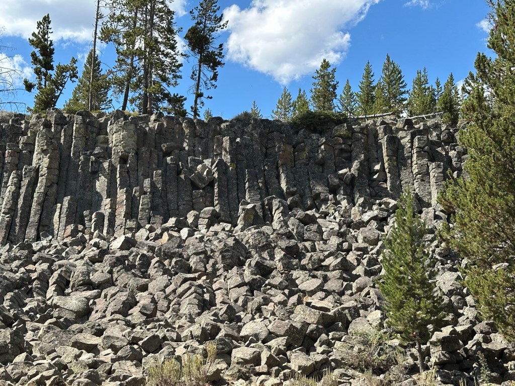 Basalt columns of Sheepeater Cliffs in Yellowstone National Park in Montana, USA. Picture by Happy Vegan Campers.