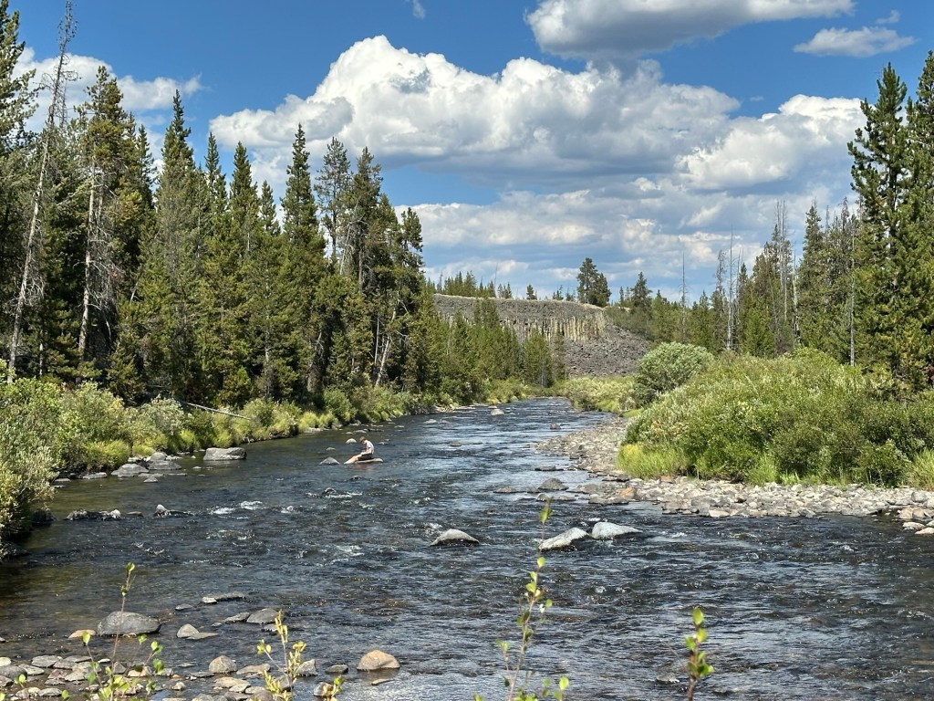View near Sheepeater Cliffs in Yellowstone National Park in Montana, USA. Picture by Happy Vegan Campers.