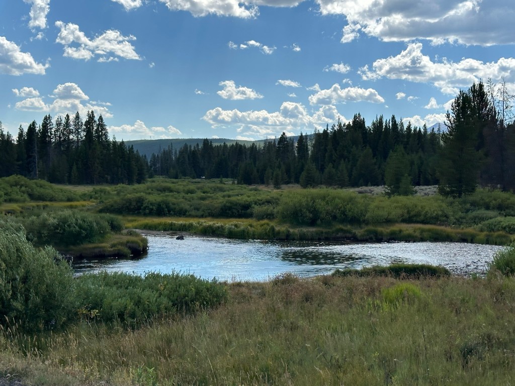 View while driving the Northern Loop in Yellowstone National Park in Montana, USA. Picture by Happy Vegan Campers.
