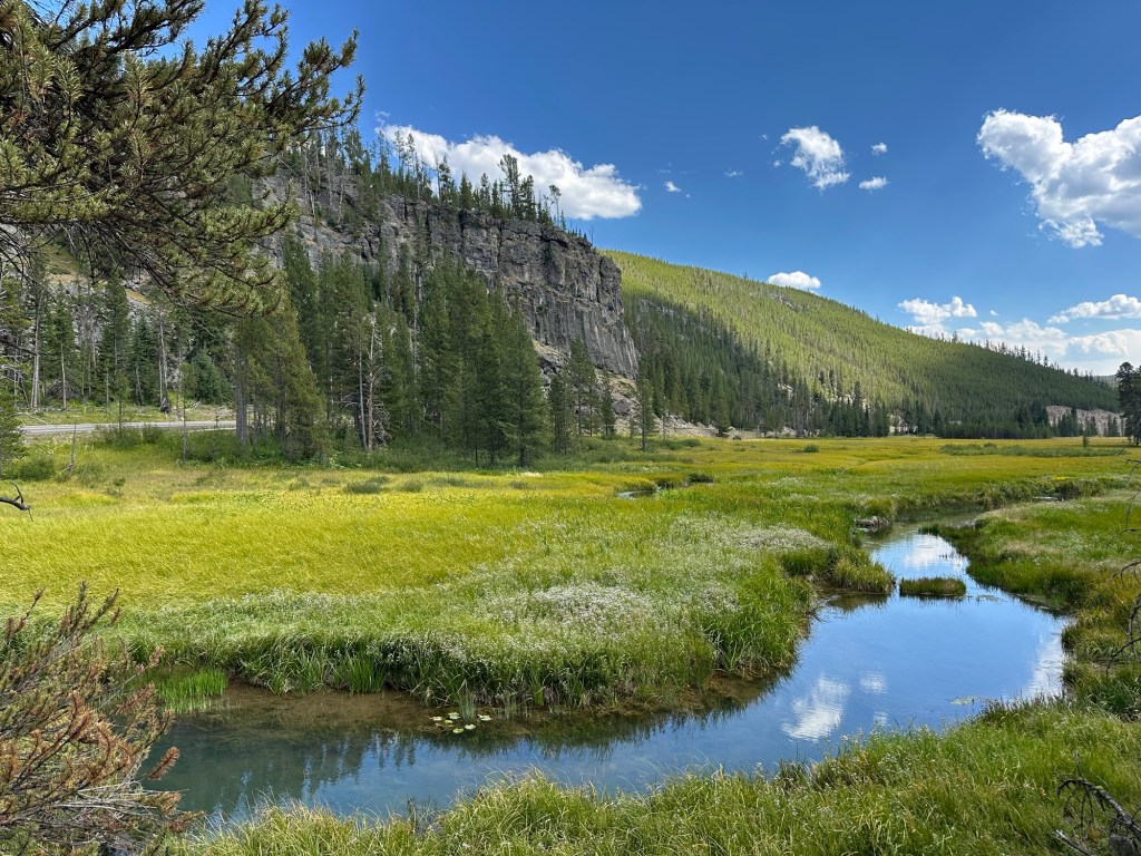 Obsidian Cliffs in Yellowstone National Park in Montana, USA. Picture by Happy Vegan Campers.