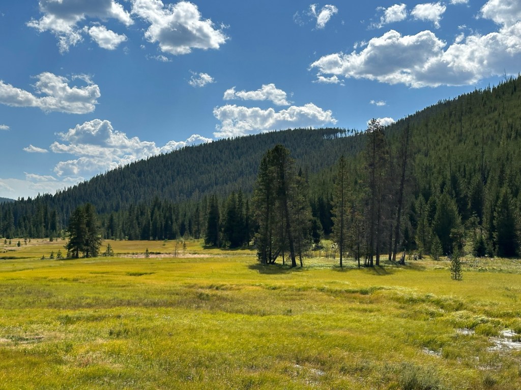 View while driving the Northern Loop in Yellowstone National Park in Montana, USA. Picture by Happy Vegan Campers.