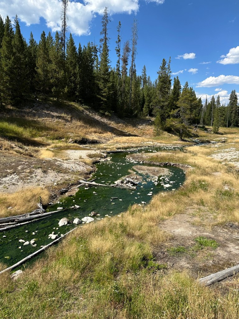 View while driving the Northern Loop in Yellowstone National Park in Montana, USA. Picture by Happy Vegan Campers.