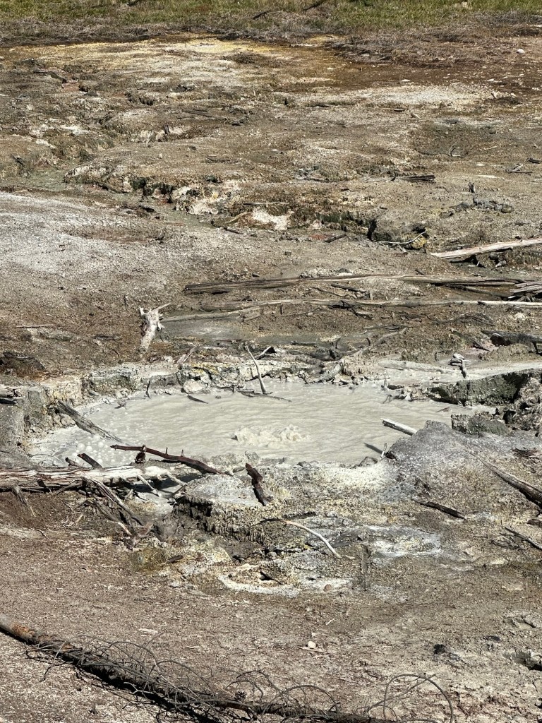 Frying Pan Spring in Yellowstone National Park in Montana, USA. Picture by Happy Vegan Campers.