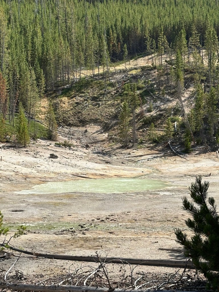 Frying Pan Spring in Yellowstone National Park in Montana, USA. Picture by Happy Vegan Campers.