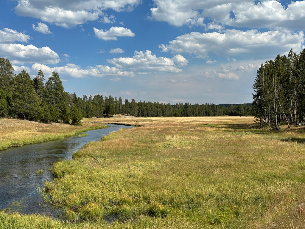 View while driving the Northern Loop in Yellowstone National Park in Montana, USA. Picture by Happy Vegan Campers.