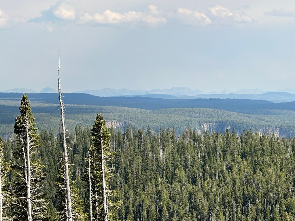32 mile wide caldera of three major volcano eruptions in Yellowstone National Park in Montana, USA. Picture by Happy Vegan Campers.