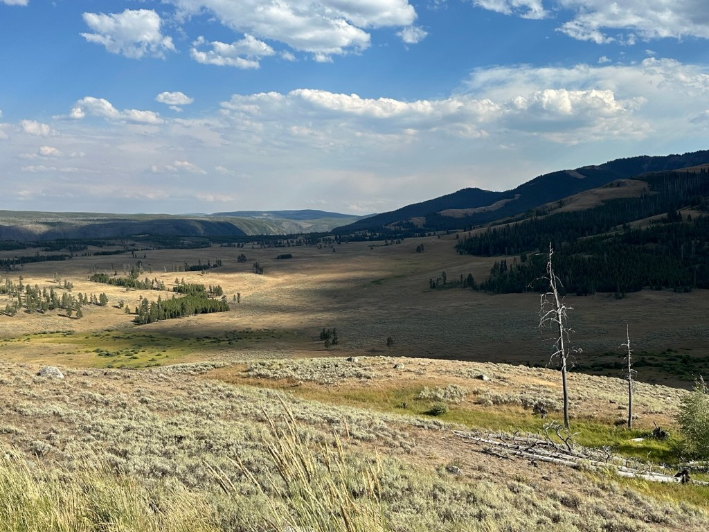 View while driving the Northern Loop in Yellowstone National Park in Montana, USA. Picture by Happy Vegan Campers.