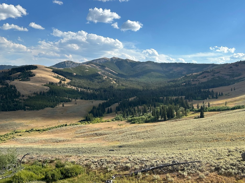 View while driving the Northern Loop in Yellowstone National Park in Montana, USA. Picture by Happy Vegan Campers.