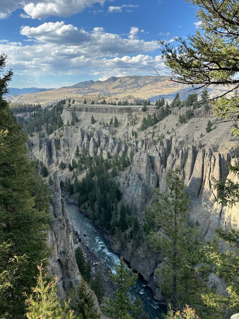 Basalt columns and river near Tower Falls in Yellowstone National Park in Montana, USA. Picture by Happy Vegan Campers.