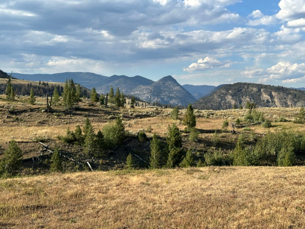 View while driving the Northern Loop in Yellowstone National Park in Montana, USA. Picture by Happy Vegan Campers.