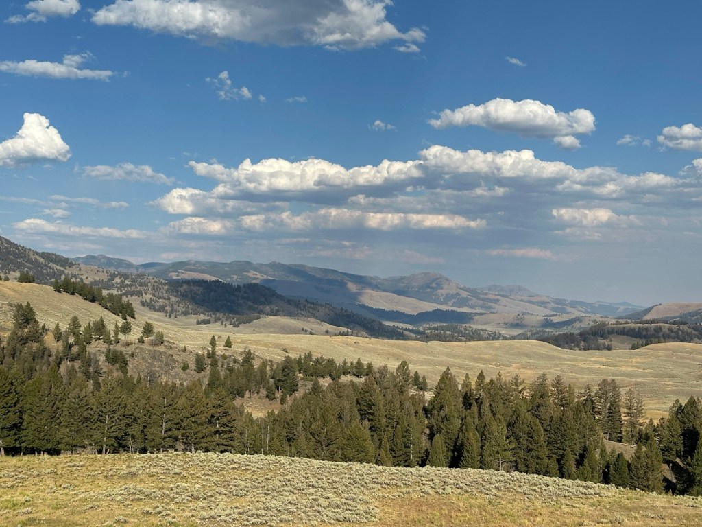 View while driving the Northern Loop in Yellowstone National Park in Montana, USA. Picture by Happy Vegan Campers.