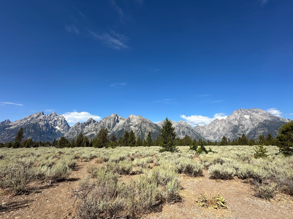 Grand Teton National Park in Wyoming, USA.