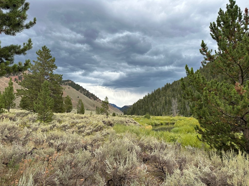 Storm over Bridget-Teton National Forest near Jackson, Wyoming, USA.