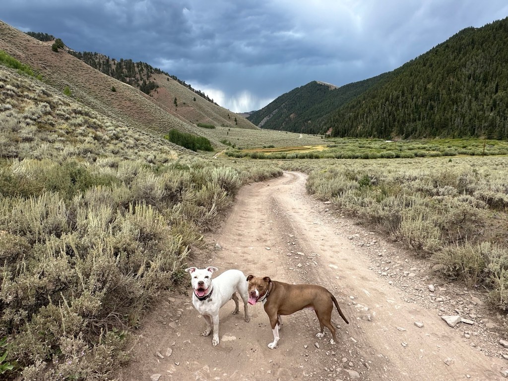Peter and Marcel with storm over Bridget-Teton National Forest near Jackson, Wyoming, USA.