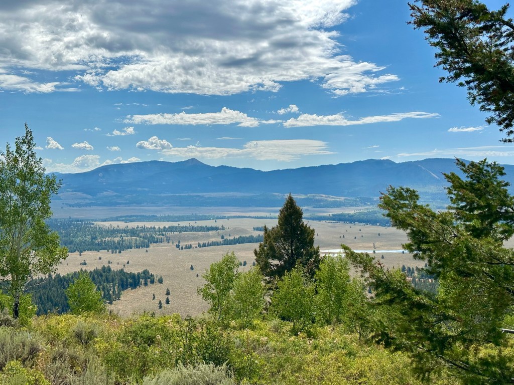 View from Signal Mountain Overlook in Grand Teton National Park in Wyoming, USA.