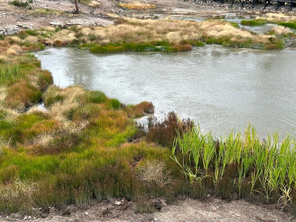 Near mud geyser in Yellowstone National Park in Wyoming, USA.