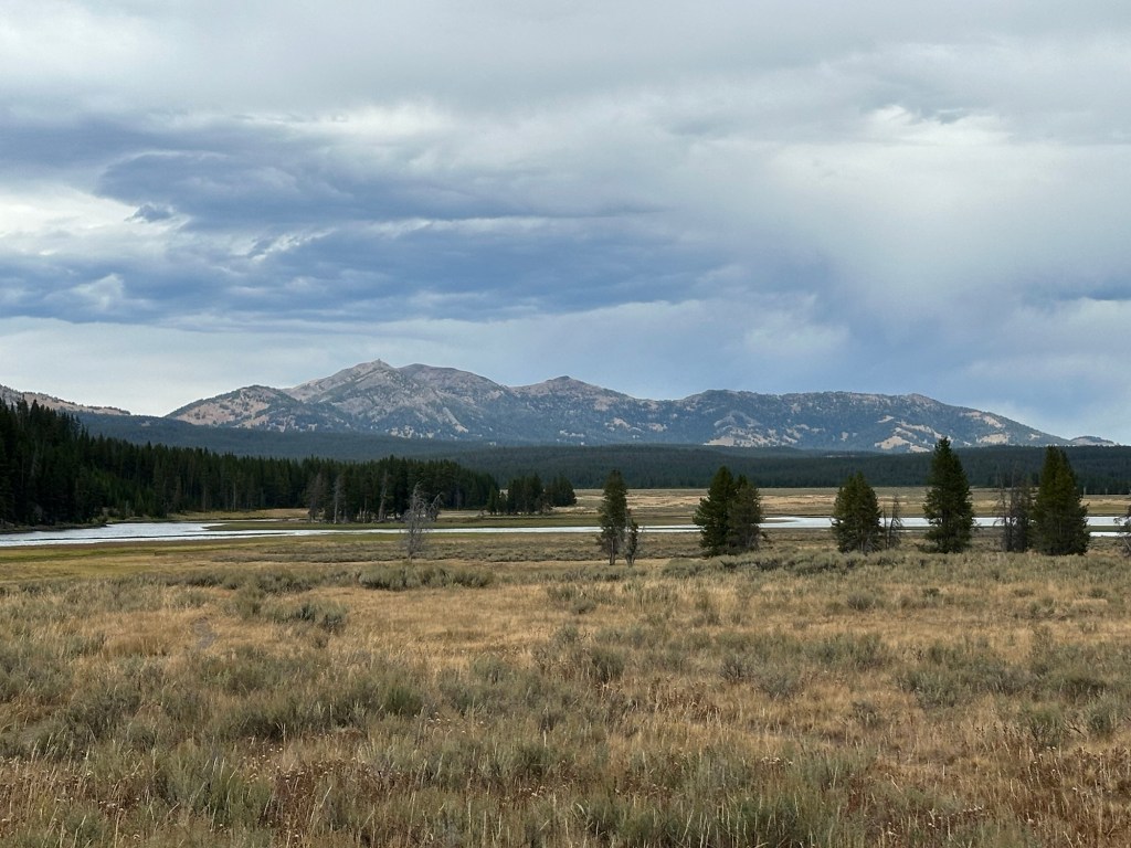 View in Yellowstone National Park in Wyoming, USA.
