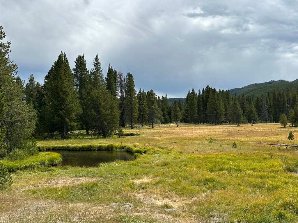 Steam in meadow in Yellowstone National Park in Wyoming, USA.