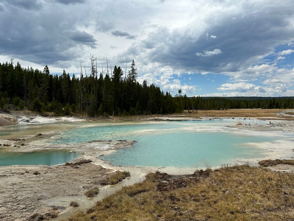 Norris Geyser Basin in Yellowstone National Park in Wyoming, USA.