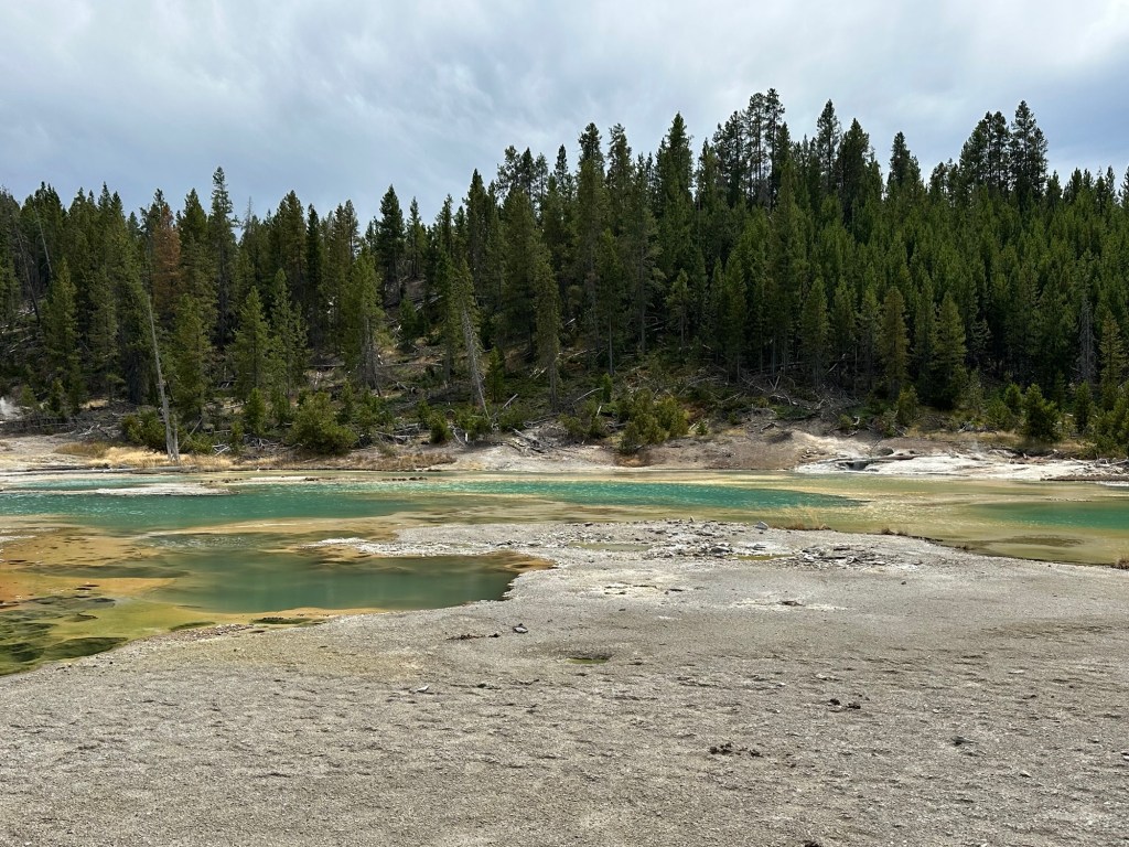 Norris Geyser Basin in Yellowstone National Park in Wyoming, USA.