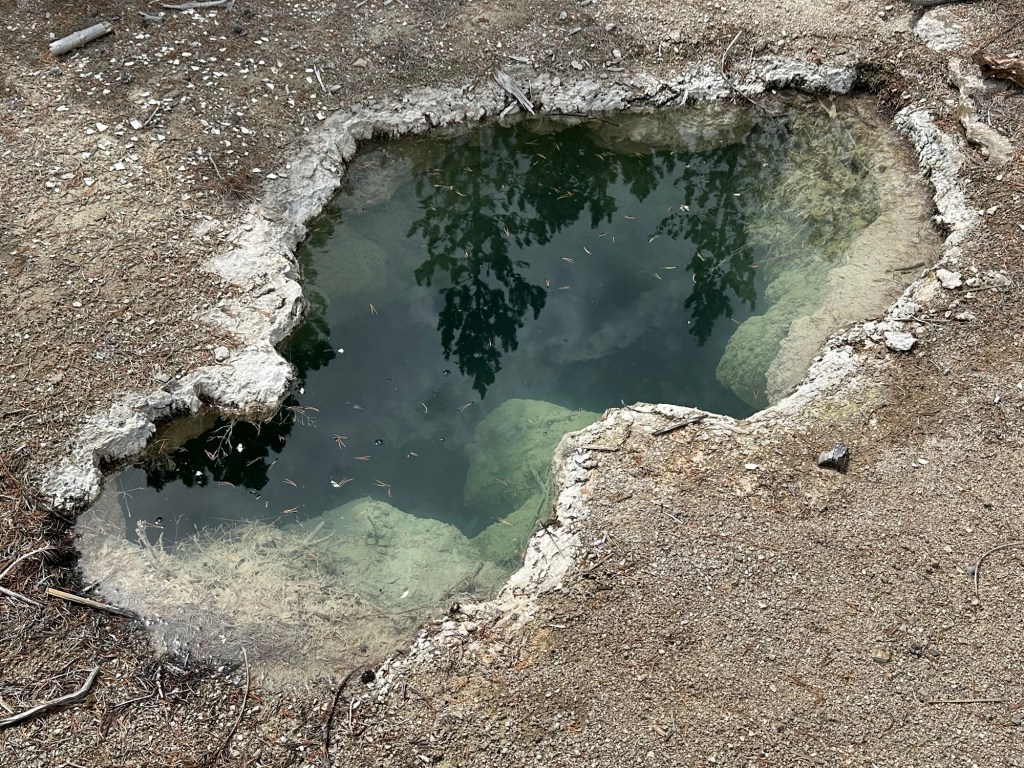 Norris Geyser Basin in Yellowstone National Park in Wyoming, USA.