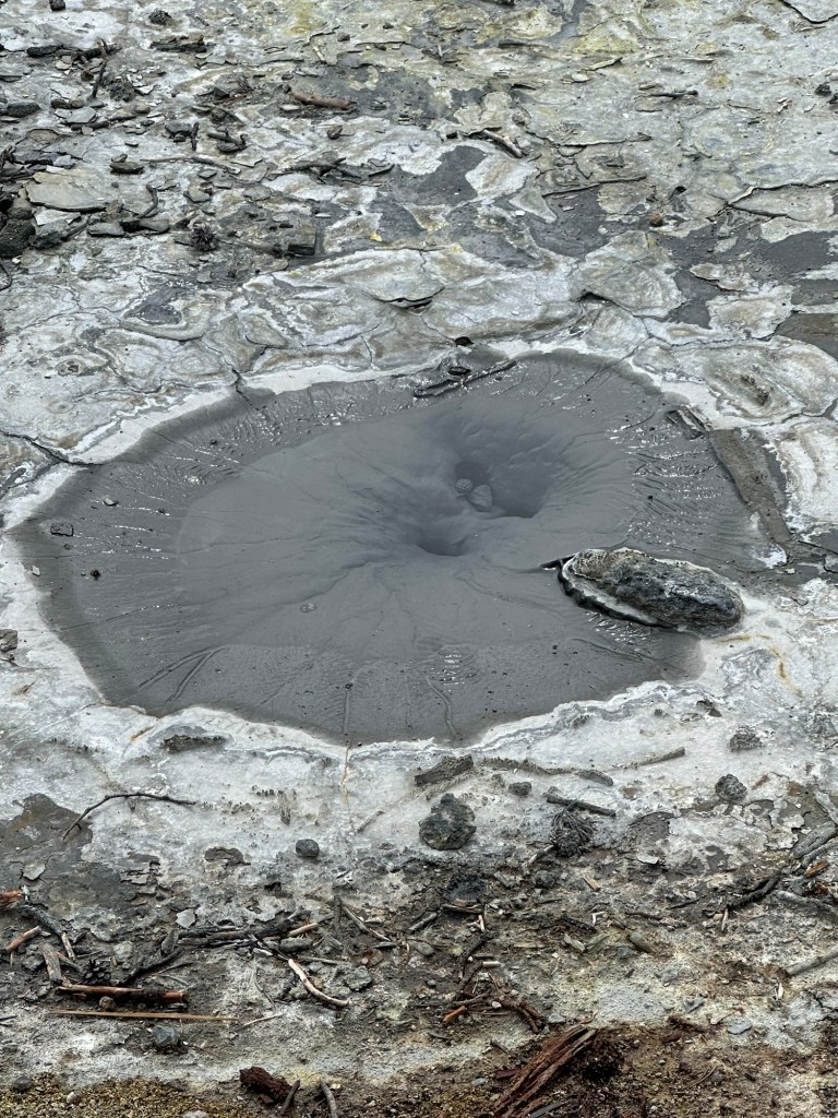 Norris Geyser Basin in Yellowstone National Park in Wyoming, USA.