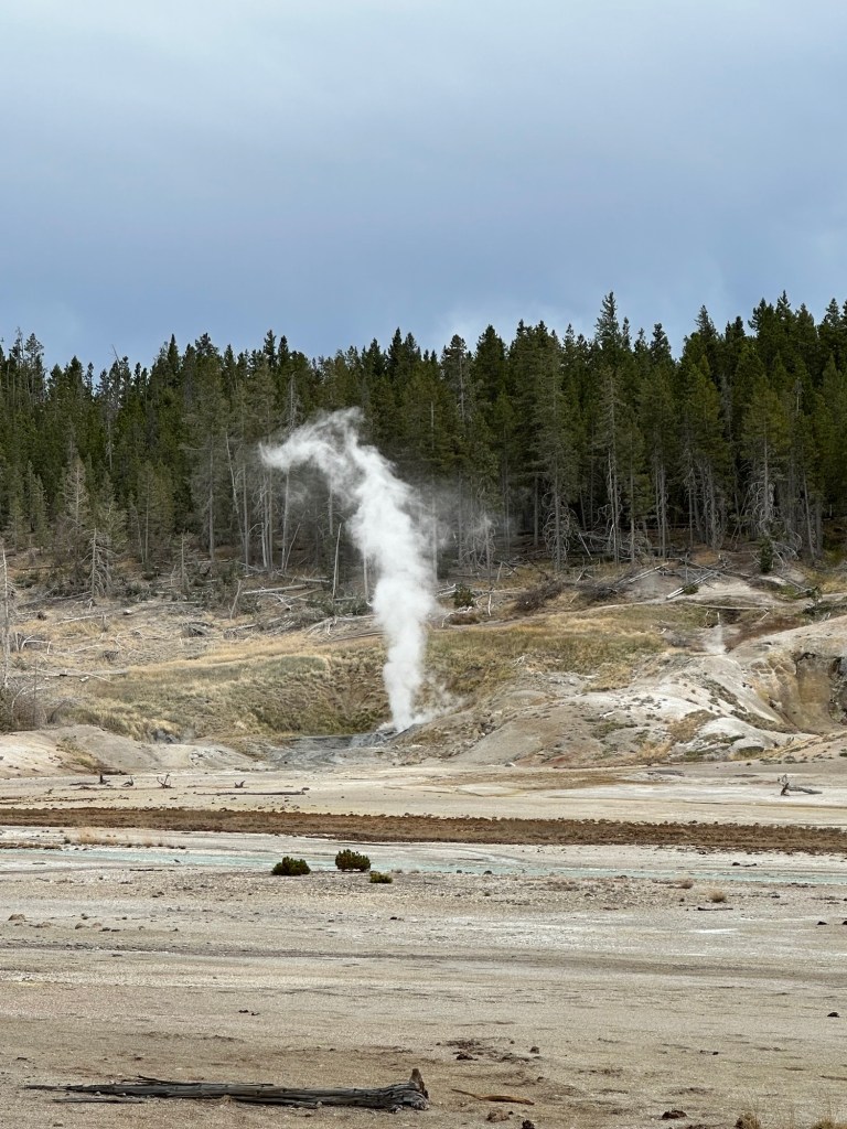 Norris Geyser Basin in Yellowstone National Park in Wyoming, USA.