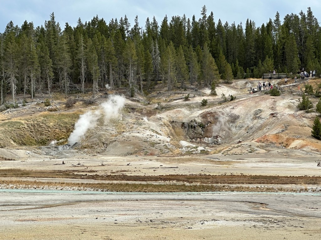 Norris Geyser Basin in Yellowstone National Park in Wyoming, USA.